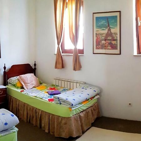 Hostel Pansion Lion 塞拉耶佛 外观 照片