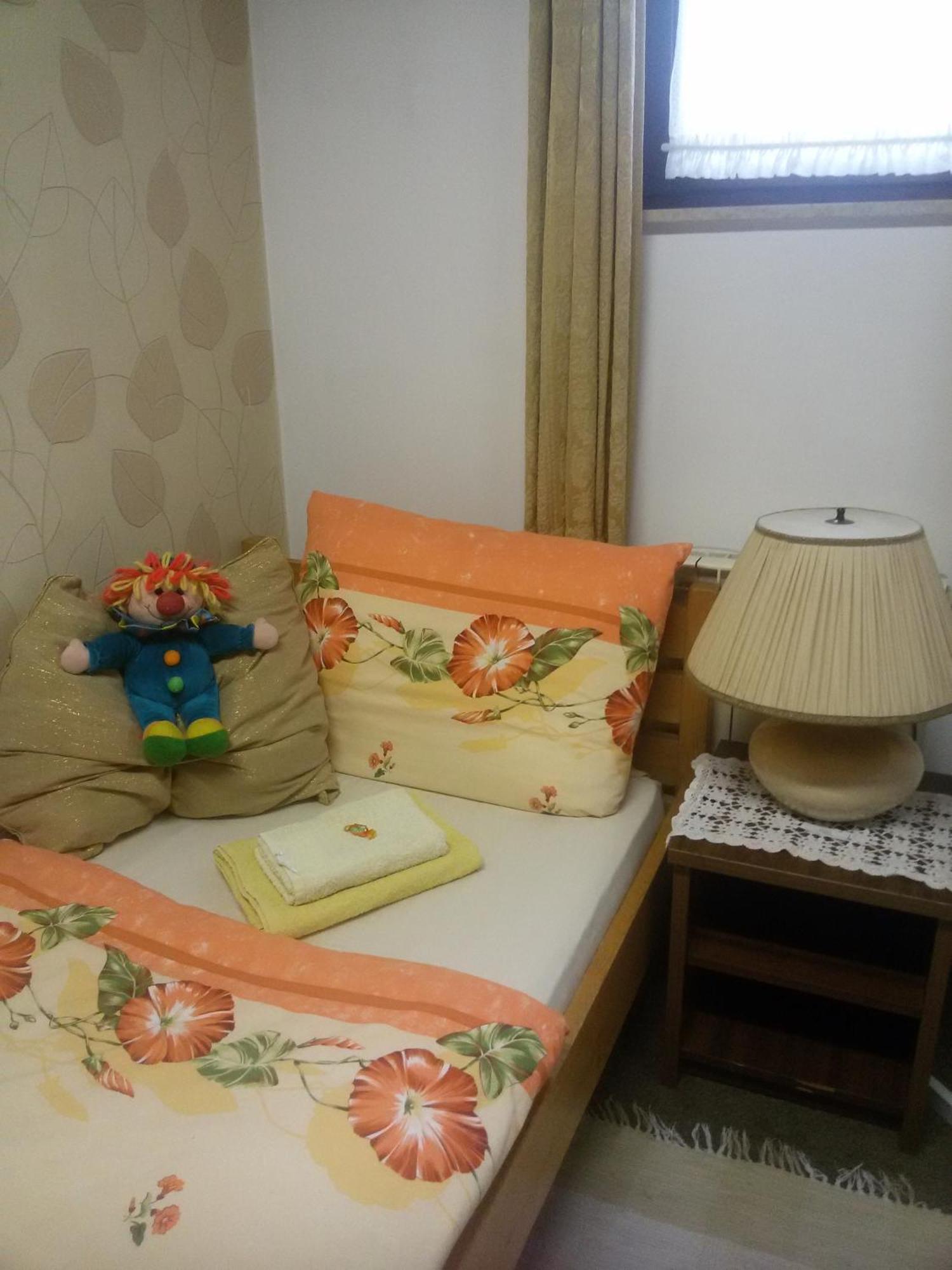 Hostel Pansion Lion 塞拉耶佛 客房 照片