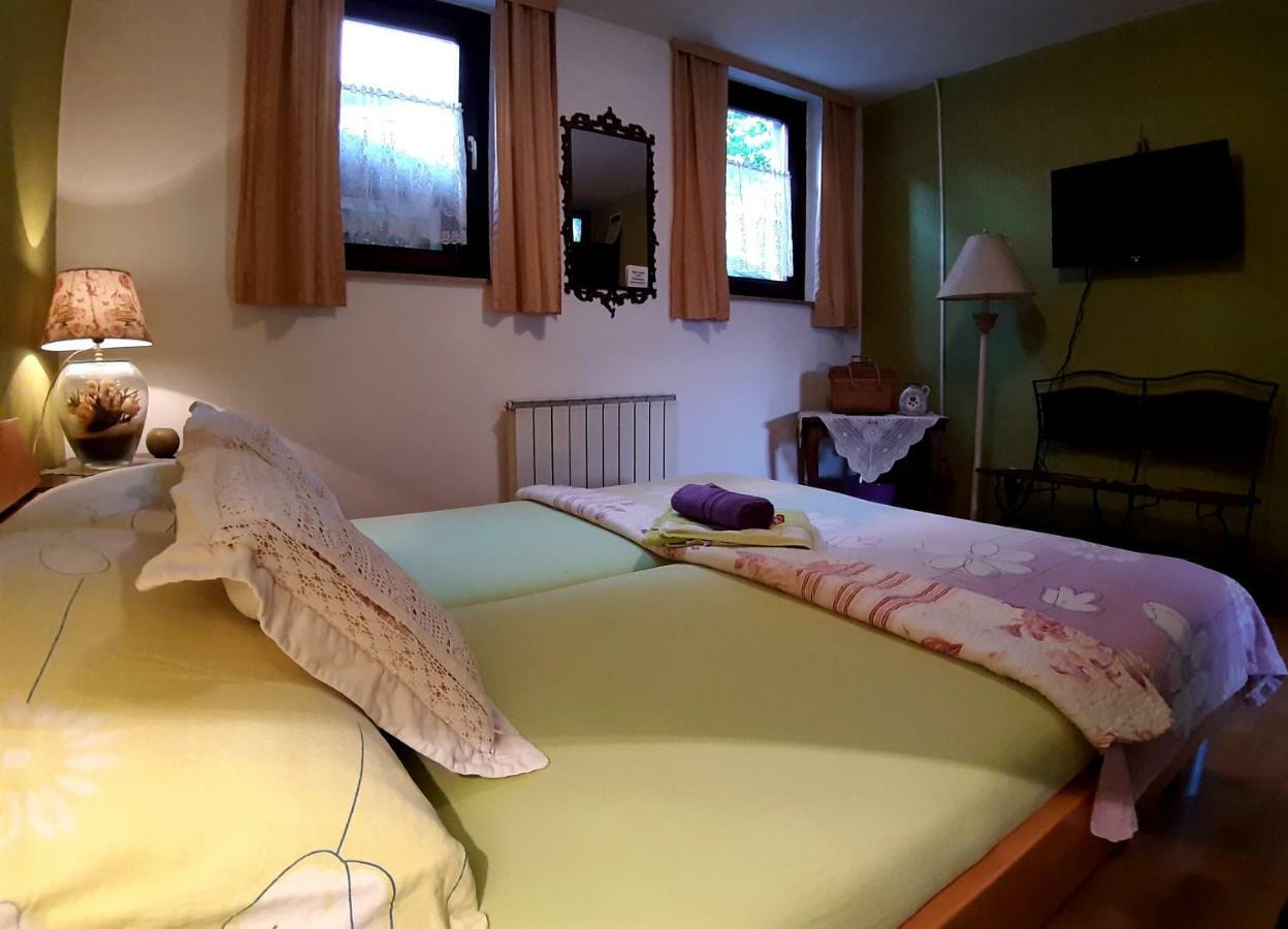 Hostel Pansion Lion 塞拉耶佛 外观 照片