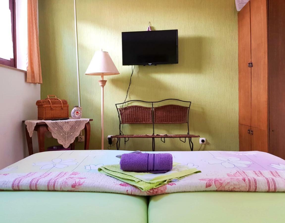Hostel Pansion Lion 塞拉耶佛 外观 照片