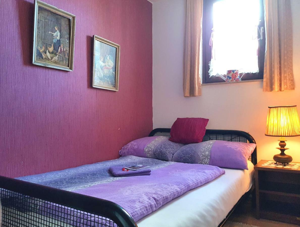 Hostel Pansion Lion 塞拉耶佛 外观 照片