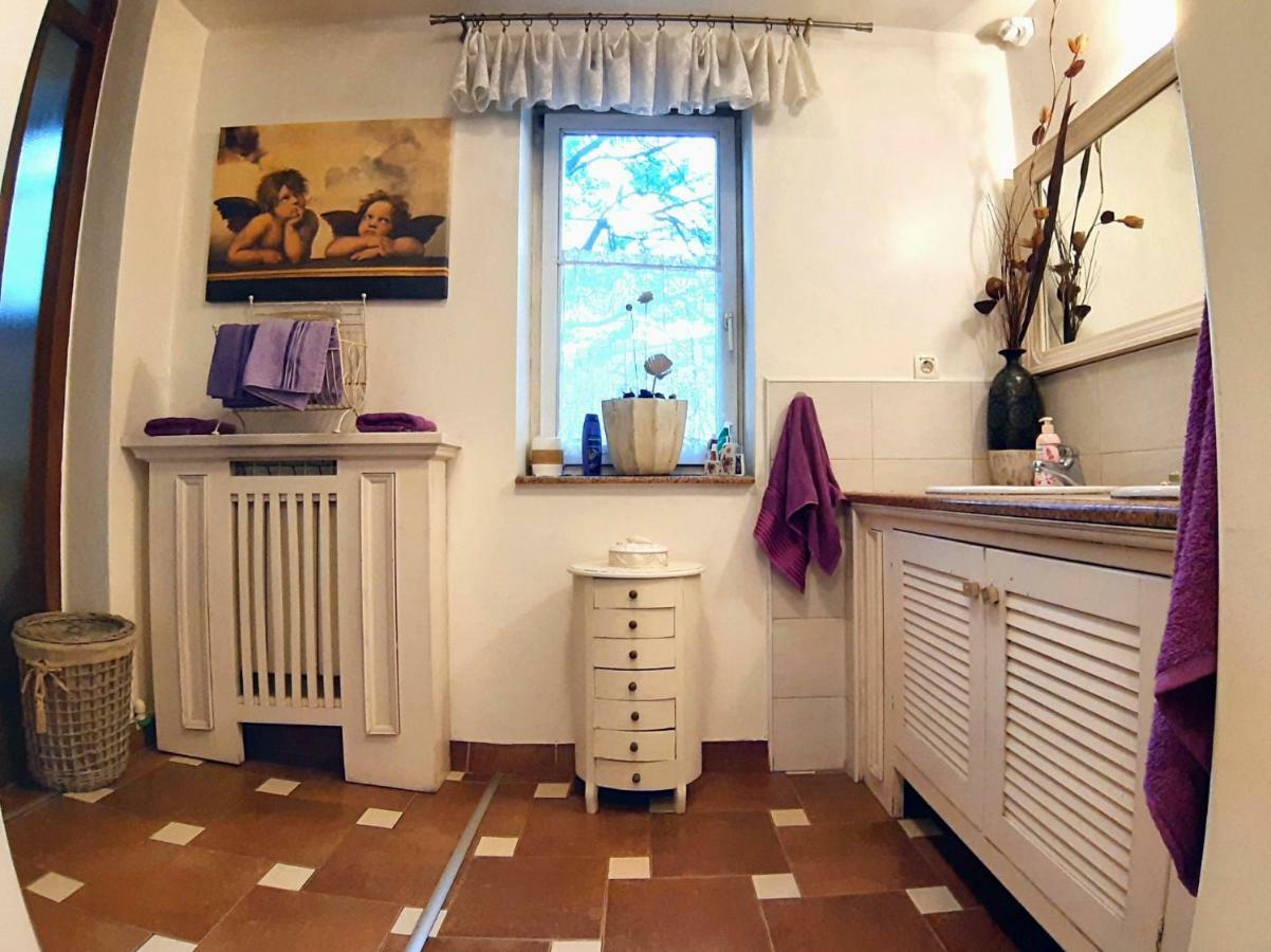 Hostel Pansion Lion 塞拉耶佛 外观 照片